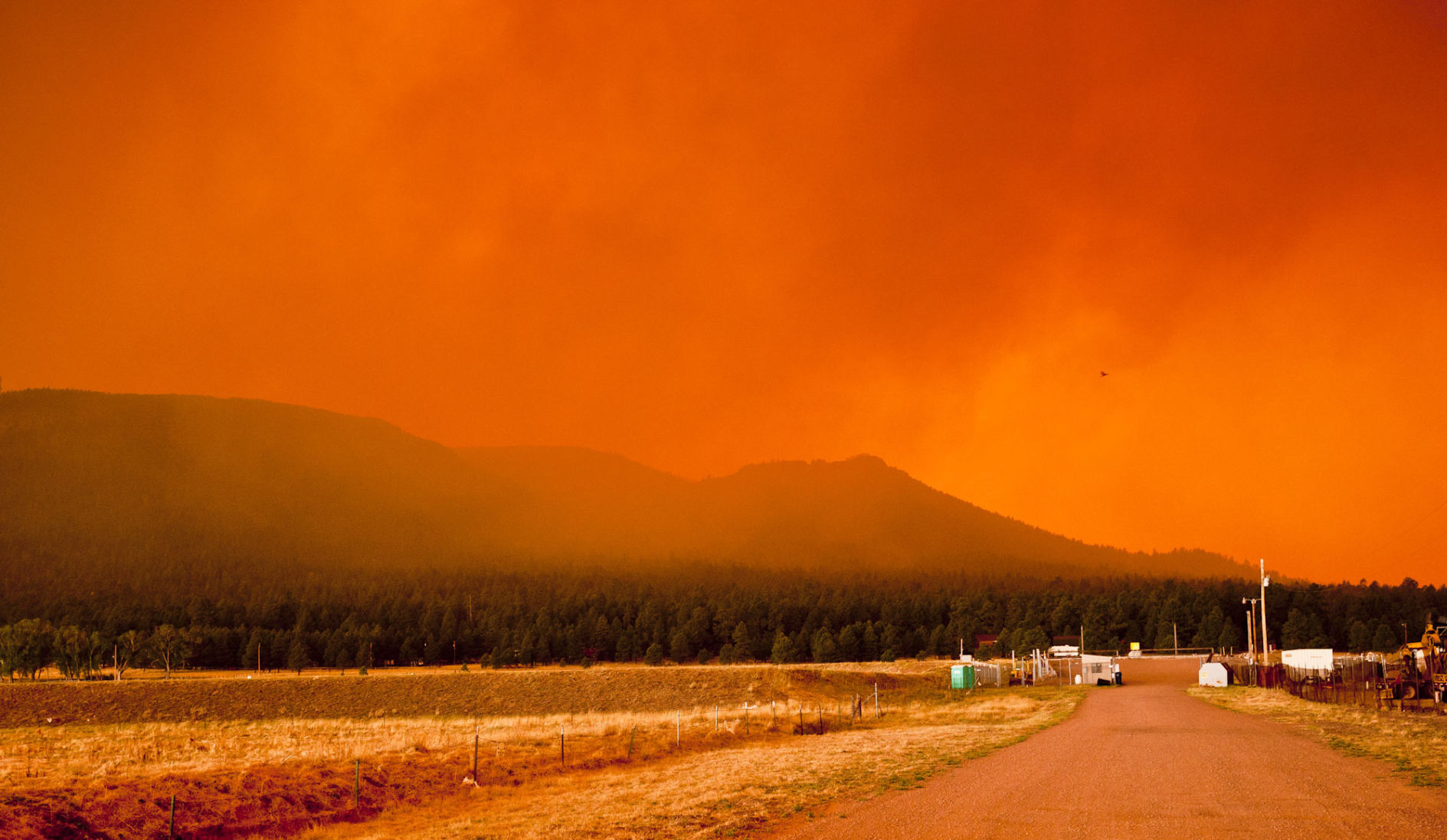 The Wallow Fire of 2011